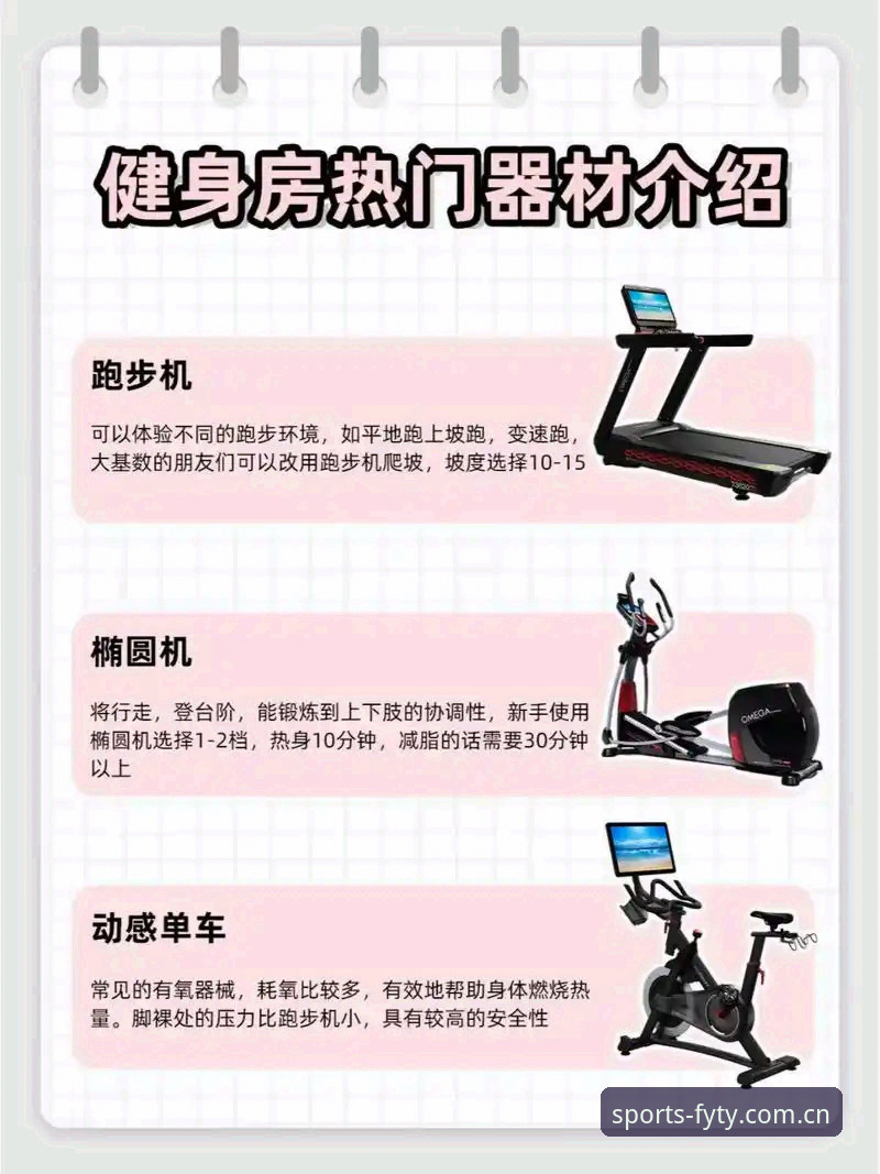 风云体育app必备 风云体育平台深度解析:如何选择真正适合你的运动装备